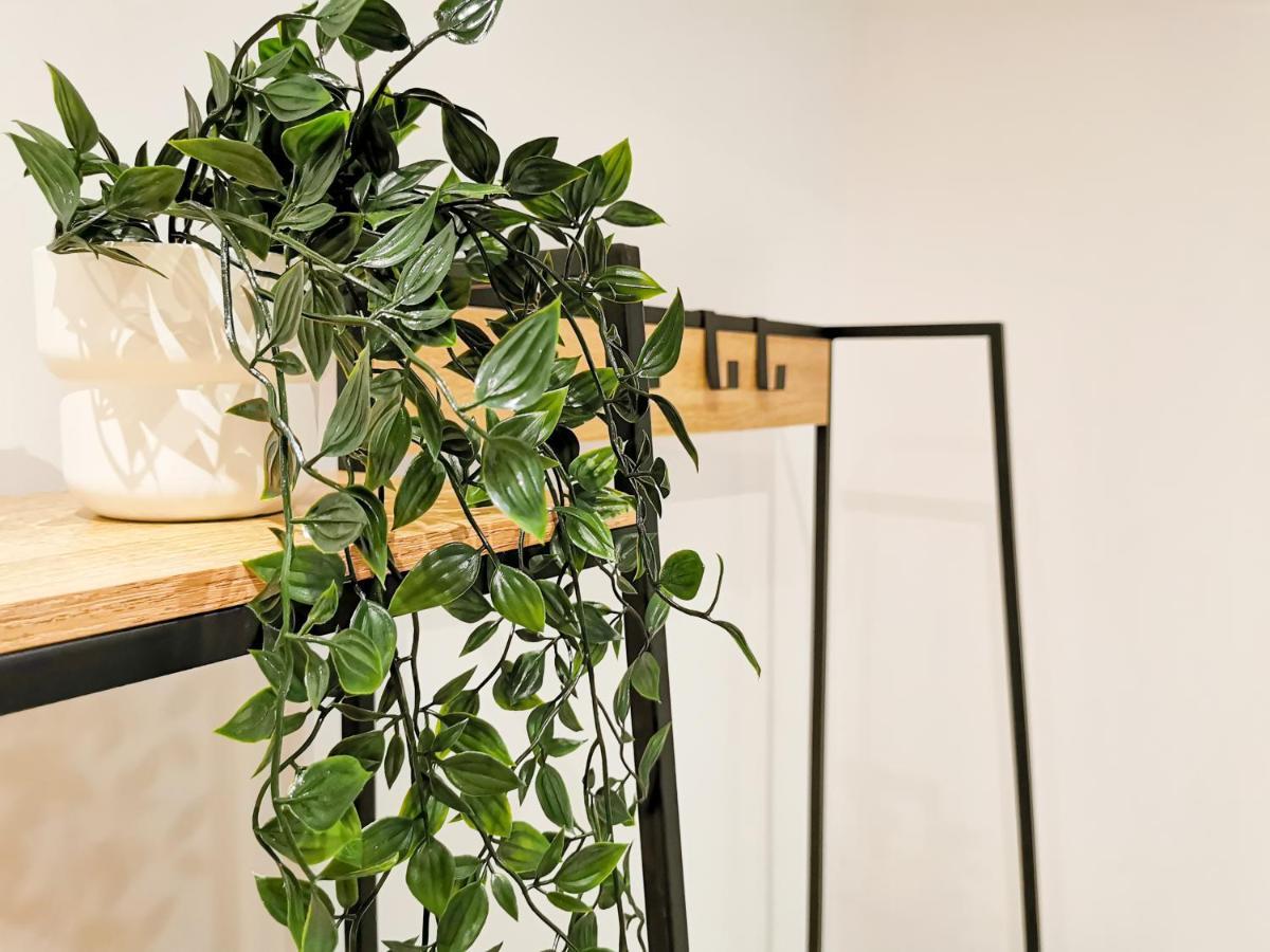 Appartement Ma Douce Charente - Superbe T3 Design Et Fonctionnel - Hyper Centre A 桑特 外观 照片